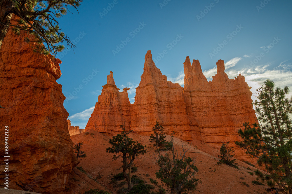 Scenic view of the red sandstone formations and trees at Bryce Point, Utah.