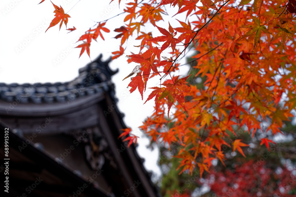 寺院の屋根と紅葉