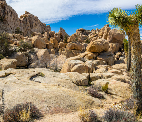 Rock Formations on The Hidden Valley Trail  Joshua Tree National Park  California  USA