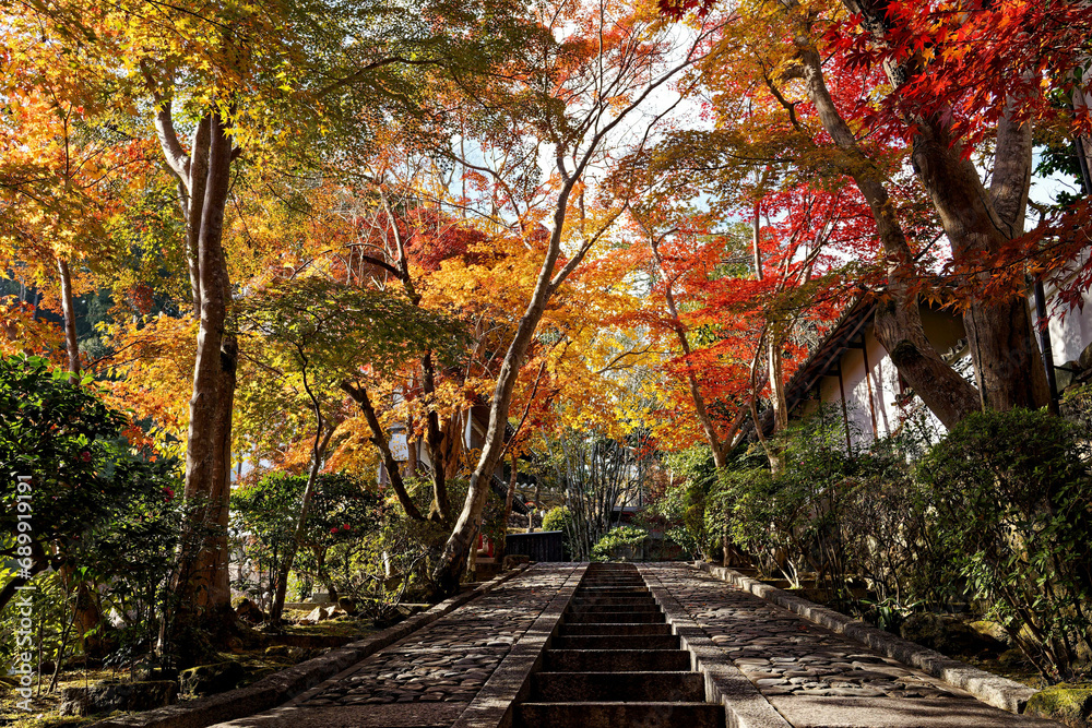 紅葉に彩られた石段