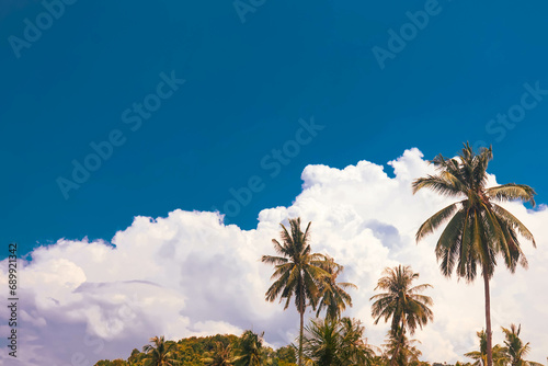 Coconut Palm Trees With Blue Sky Background