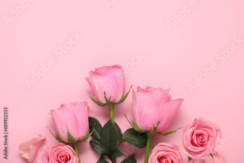 Beautiful roses on pink background  top view. Space for text