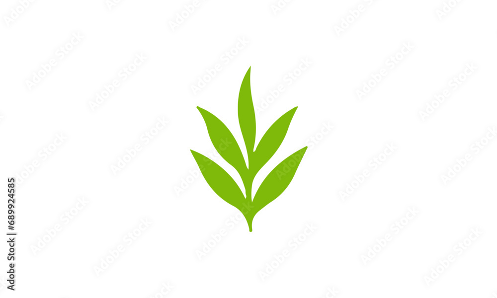 green plant isolated on white green plant isolated on white