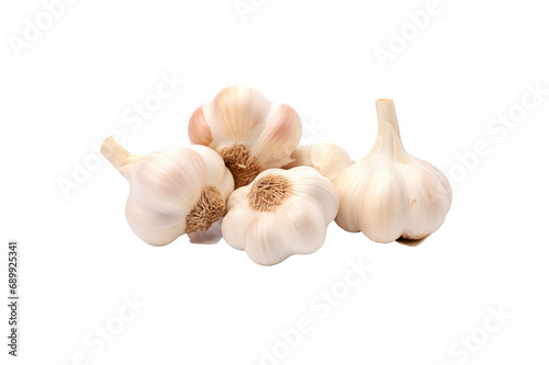 Fresh garlic heads and cloves