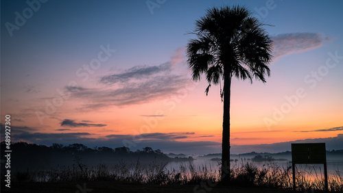 A peaceful sunrise behind a palm tree at Edward Medard Park in Plant City Florida 