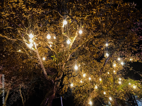 golden christmas tree lights