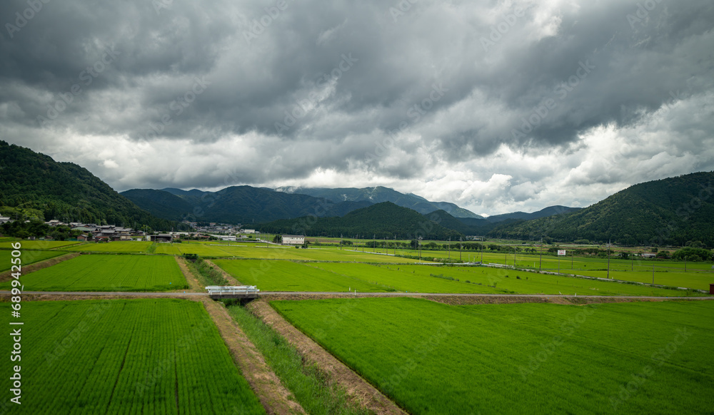 Japanese farms growing green plants outside of Kyoto, Japan as seen from the Tokido Shinkansen line with mountains in the background