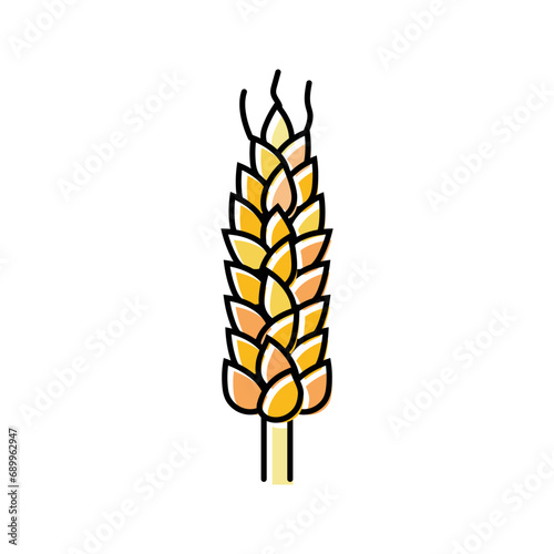 spikelet yellow wheat color icon vector. spikelet yellow wheat sign. isolated symbol illustration