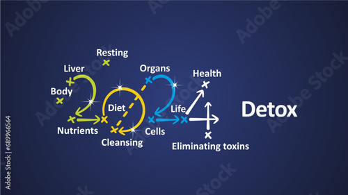 Detox 2024 new year word cloud text with handwritten colorful strategy arrows in shape of 2024 on board. New Year white blue background vector