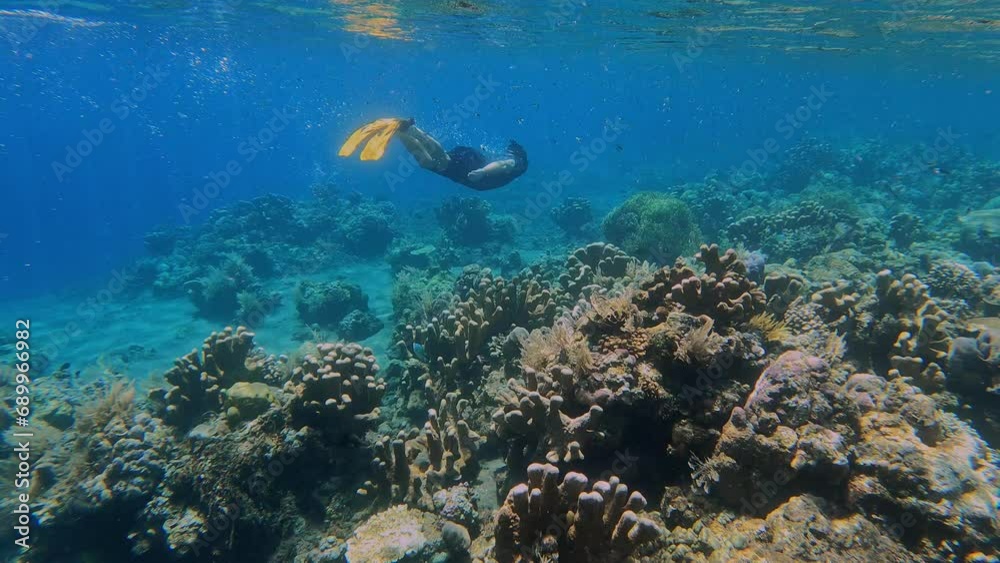 Young man with goggles swimming underwater in Indian Ocean at sunny day Young man with goggles swimming underwater in Indian Ocean at sunny day