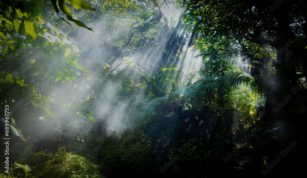 The Tropical jungle with river and sun beam and foggy in the garden.
