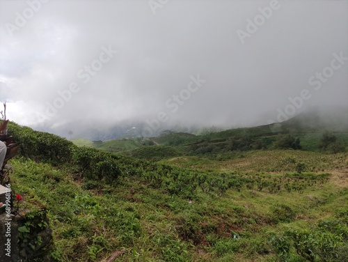 Makassar Indonesia 8 December 2023, A large tea plantation in the highlands located in Malino, South Sulawesi 