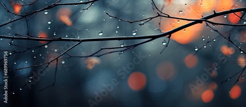 November evening, abstract background with raindrops on park branches seen through wet window.