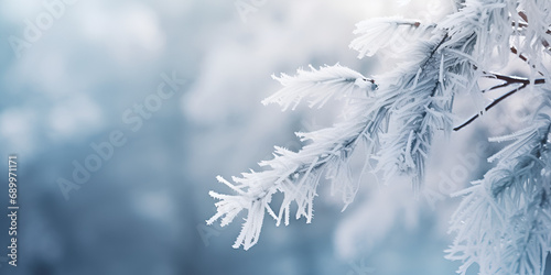 snow covered branches,Macro Magic: Snow-covered Pine Tree Branch Christmas Wallpaper