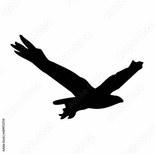 silhouette of a black bird in flight