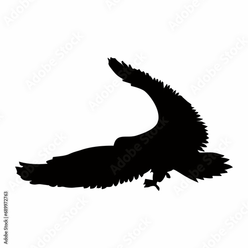 silhouette of a black bird in flight