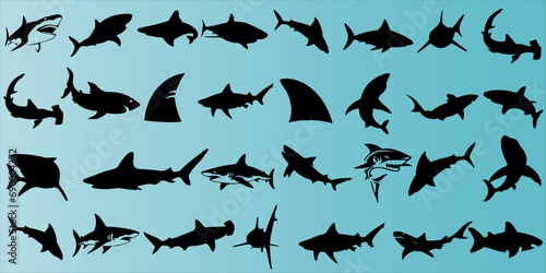 Shark silhouette vector illustration, Featuring Sharks black silhouettes of great white, hammerhead, tiger, bull sharks. Perfect for marine, oceanic, sea life, summer, tropical themes