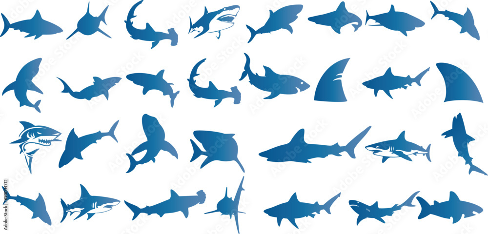 Blue Shark Vector Illustration, marine life showcasing a variety of sharks. Ideal for oceanography, marine biology, and shark week themes. Perfect for wallpapers, textile, fabric, gift wrap