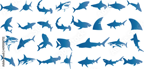 Blue Shark Vector Illustration  marine life showcasing a variety of sharks. Ideal for oceanography  marine biology  and shark week themes. Perfect for wallpapers  textile  fabric  gift wrap