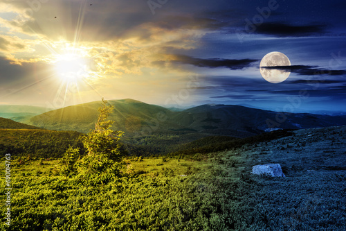 Konstfotografi fir tree and stone in the grass on hillside of mountain range with sun and moon on the sky
