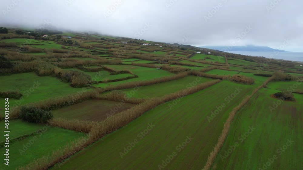 Green meadow with field plots used for agriculture in Azores island. Aerial Green meadow with field plots used for agriculture in Azores island. Aerial