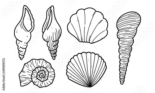 Set of hand drawn shells, clam, conch, nautilus clip art