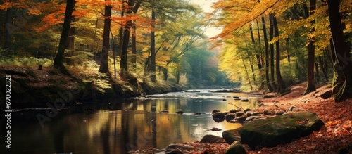River in the autumn forest.