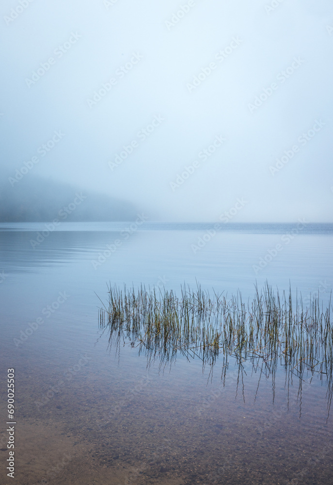 Still waters and grass in mist and fog on Donnell Pond, Maine