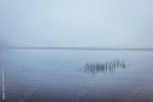 tranquil, moody fog and mist on grassy lake and pond, Maine