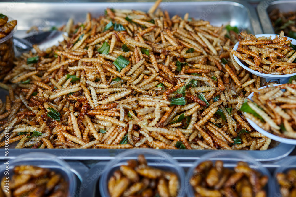 Deep fried bamboo worms at street food