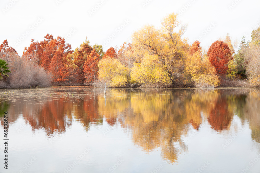 Fall Colors in Niles Community Park, Fremont, California