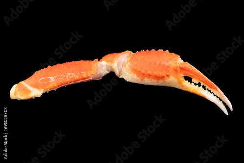 Cooked Peruvian Southern King crab leg isolated on a black background. Crab claws isolated on black background photo
