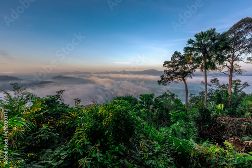 high mountain nature background that can see the scenery around  the fog covers the trees in a blur  the cool air  the beauty of the ecosystem