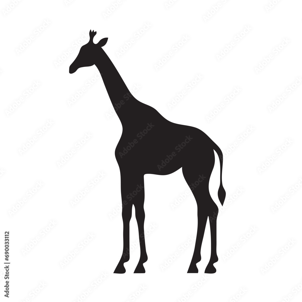 Giraffe isolated on white background Giraffe isolated on white background