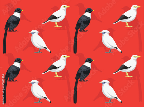Bird Bali Myna Cartoon Cute Seamless Wallpaper Background