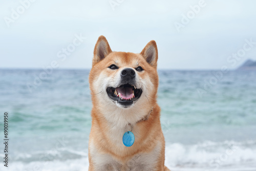 A dog smiles contentedly by the sea, embodying the joy of coastal life. This charming Shiba Inu, poised against the ocean breeze, captures the essence of a beach day