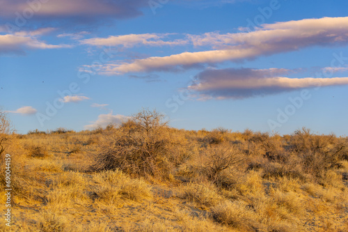 Enjoy the beauty of autumn in the desert. Watch nature create a golden masterpiece at sunset. Be inspired by the breathtaking embrace of autumn colors. Join nature