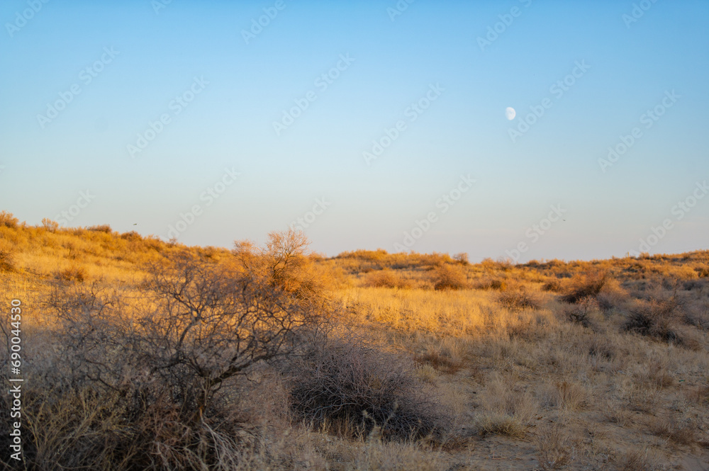 Autumn. Steppe. Sunset. Dunes: Immerse yourself in the beauty of autumn on the steppe. Watch the sun set over the mesmerizing dunes. Find solace and relaxation in this golden oasis.