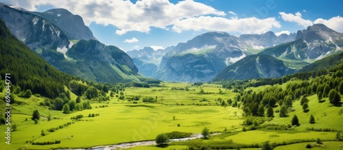 Amazing landscape green valley in mountains with blue sky view © saifur
