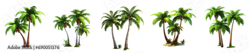 Set of 3d cartoon clipart palm tree branches isolated on white and transparent background photo