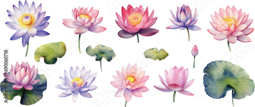 Set of light watercolor lily pads and lotus flowers isolated on white background.