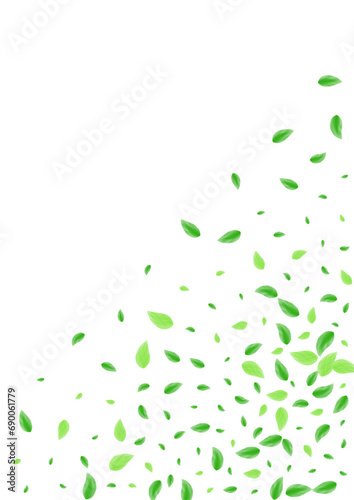 Greenish Leaf Background White Vector. Vegetation Park Card. Process Texture. Green Forest Design. Sheet Modern.