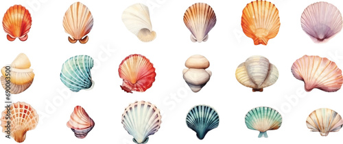 Set of various seashells isolated on white background.