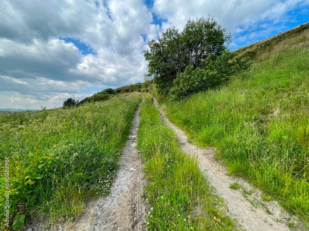 Old cart track, leading over the hills,  with long grass, and wild plants, leading from, Marsden Gate, Halifax, UK