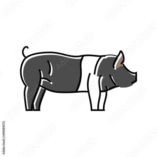 hampshire pig breed color icon vector. hampshire pig breed sign. isolated symbol illustration