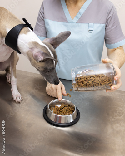 The veterinarian shows the dog how much dry food you can eat. Emotion of the veterinary clinic © Anna