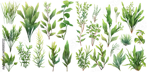  Green plant watercolor illustration clipart. Generative AI