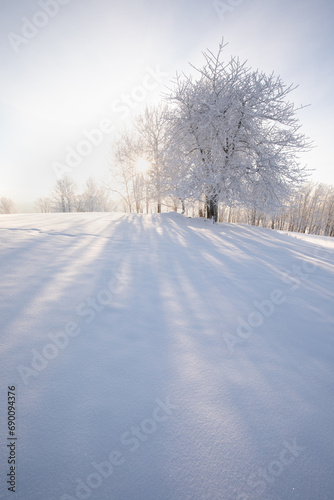 Incredible winter landscape with snowcapped trees under bright sunny light in frosty morning. Amazing nature scenery in winter mountain valley. Awesome natural Background. Christmas time Universal use © Michal