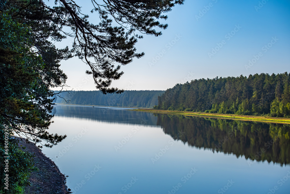 Fototapeta premium A calm river with banks covered with forest.
