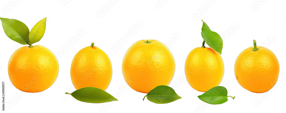 Collection Natural Fresh Orange Fruit On Transparent Background 5
